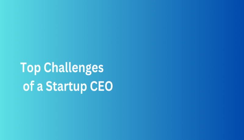 Top Challenges of a Startup CEO
