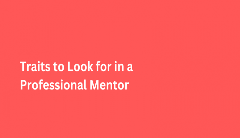 Traits to Look for in a Professional Mentor